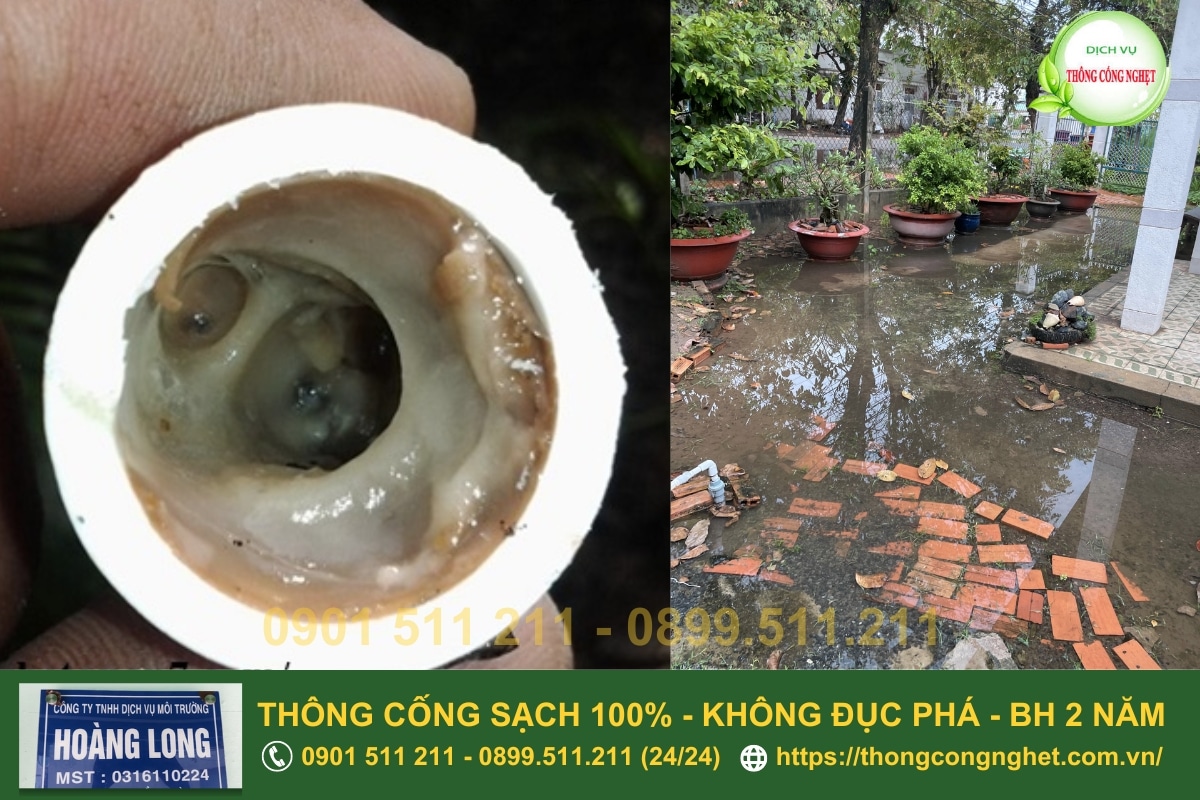 cách thông cống nghẹt