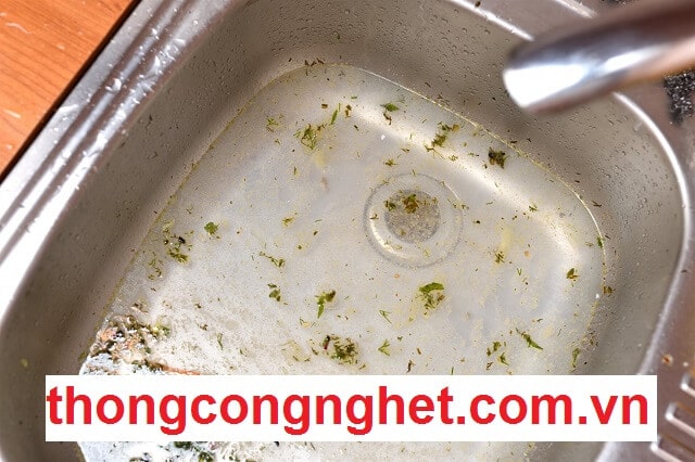 Nước thải bị trào ngược