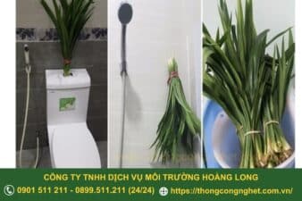 cách khử mùi hôi toilet