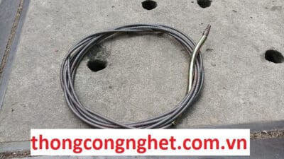 dây thông cống là gì