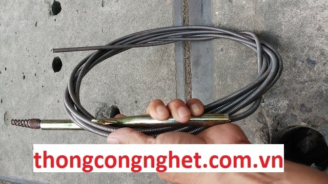 dây thông cống là gì