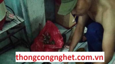 thông cống nghẹt huyện đức huệ