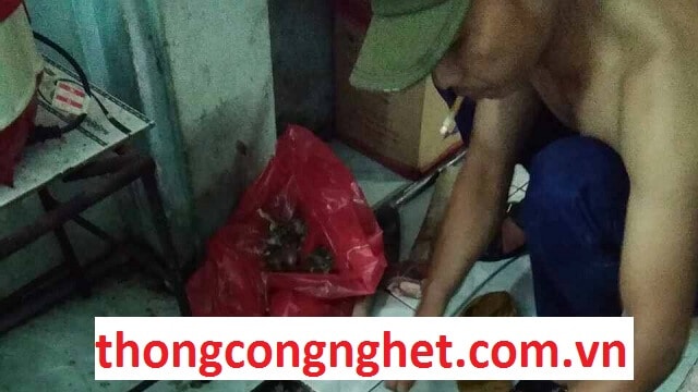 thông cống nghẹt huyện đức huệ