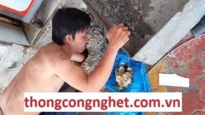 thông cống nghẹt thủ dầu một