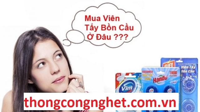 cách sử dụng viên thả bồn cầu