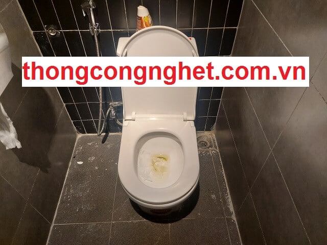 Một số lý do dẫn đến sự cố hư hỏng bồn cầu:
