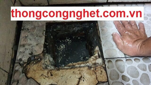 cống bị trào ngược