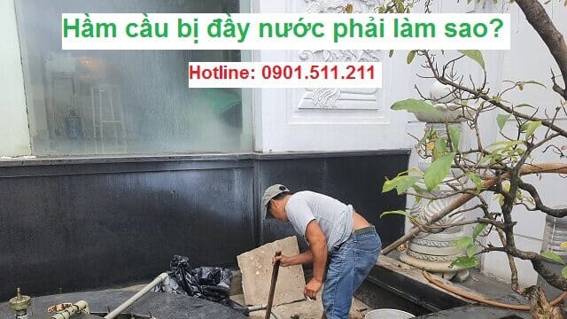 hầm cầu bị đầy nước phải làm sao