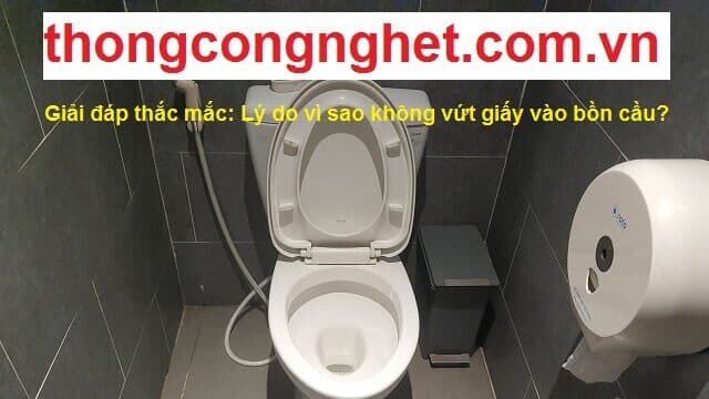tại sao không nên vứt giấy vô bồn cầu